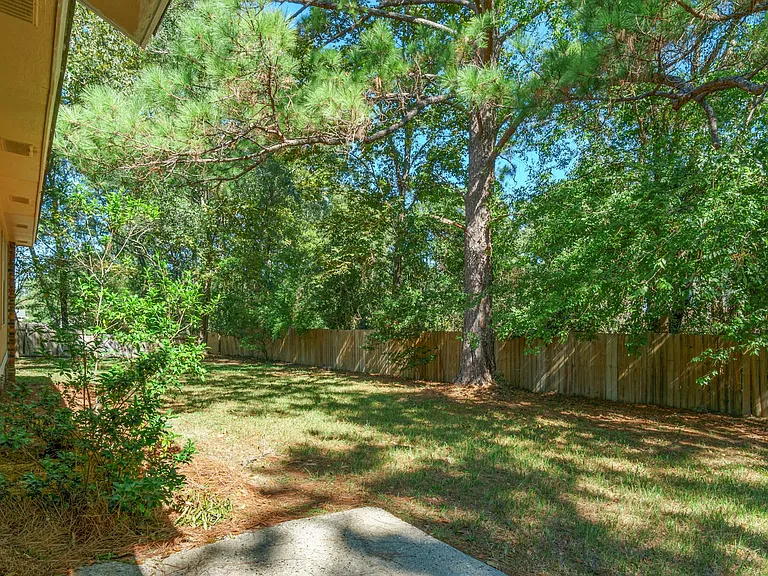 Back yard