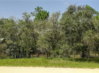 7450 SE 131st Ave, Morriston, FL 32668