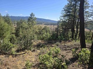 147 Cat Creek Overlook, Pagosa Springs, CO 81147