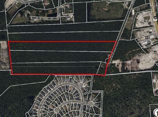 TBD Betts Rd. #32 +/- Acres, Murrells Inlet, SC 29576