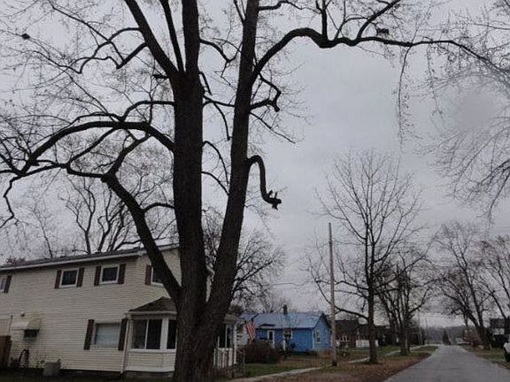 4th image of 534 Howard St