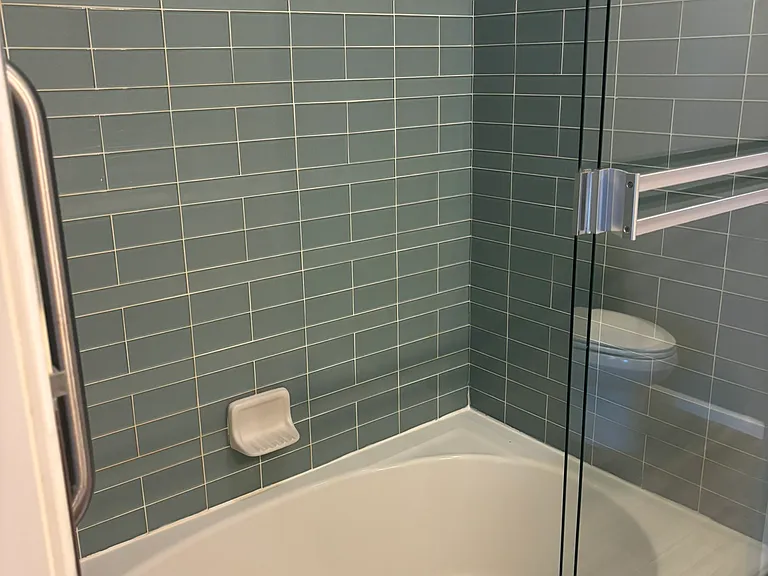 Master bathroom tub