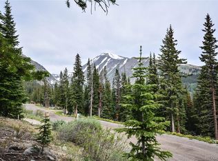 217 Hamilton Ln, Breckenridge, CO 80424