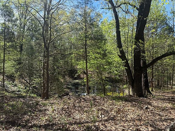 4th image of 2366 Sandhill Rd