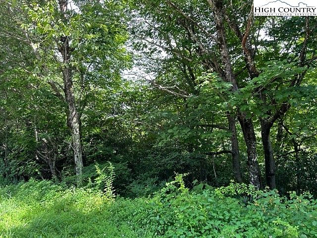 2nd image of Lot 3 Pigeon Roost Road