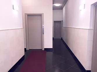 Rented by Royalty Living NYC