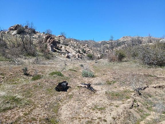 2nd image of Telesco