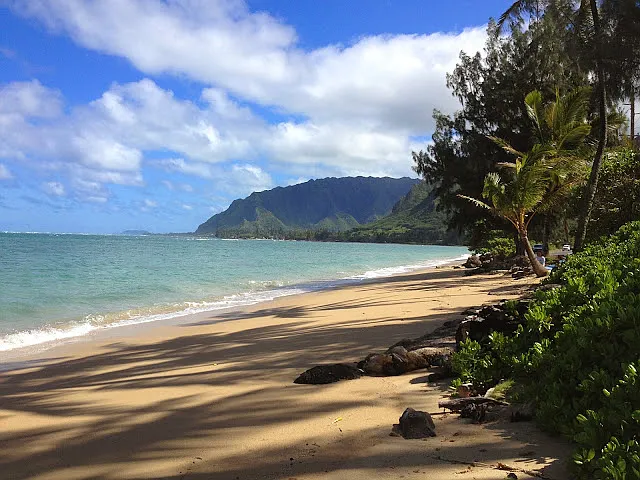 Low tide at the beach