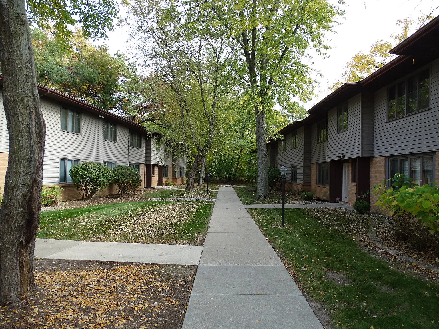 2 bed, 1000 sqft, $1,200 — Photo 1