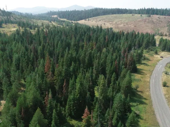 Nna Tyson Creek Rd, Santa, ID 83866