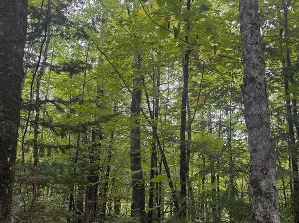 1-10 Tikka Rd, Ontonagon, MI 49953