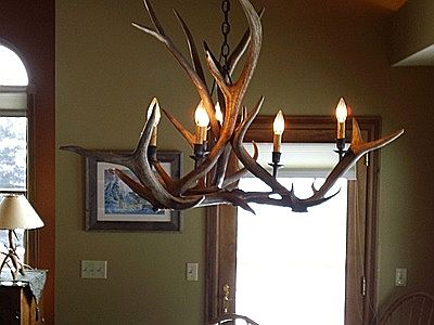 Authentic Antler Chandelier