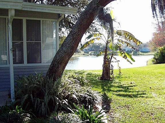 2nd image of 6 Falls Way Dr