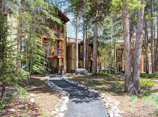 700 Snowberry Ln #201, Breckenridge, CO 80424