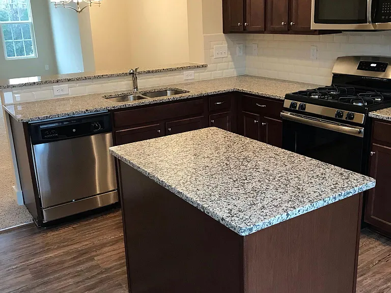 2313 Silver Crescent Dr — Photo 4