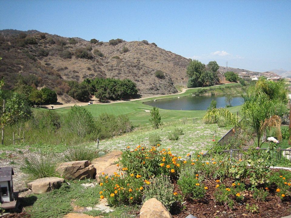 View from back patio