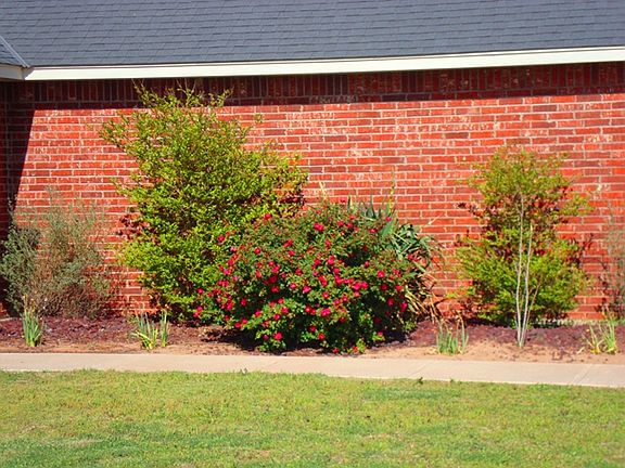3rd image of 296 Lake Crest Dr