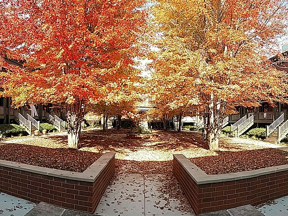 courtyard in Autumn