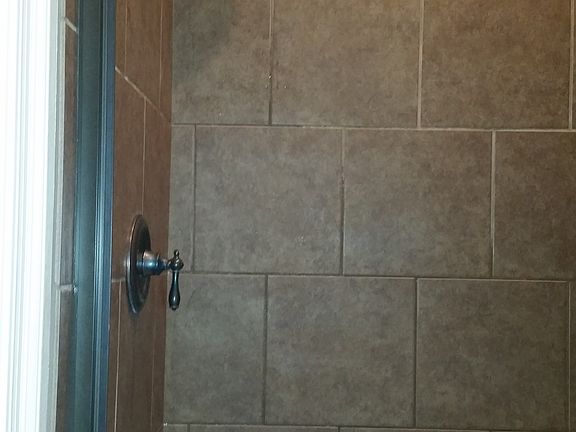 Walk in shower master bath