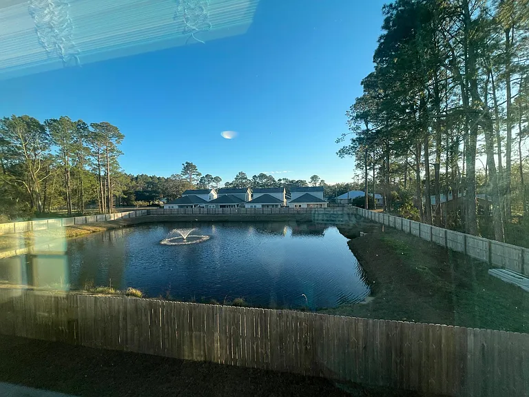 42882 Ida Coon Cir — Photo 11
