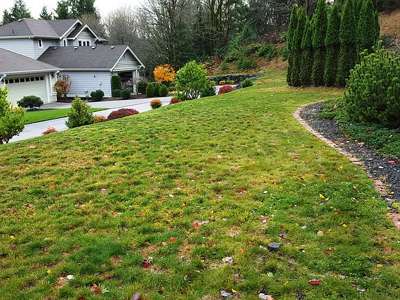 2nd image of 132 Timber Heights Dr
