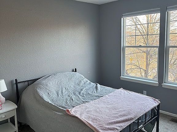 5th image of 672 English Sparrow Trl