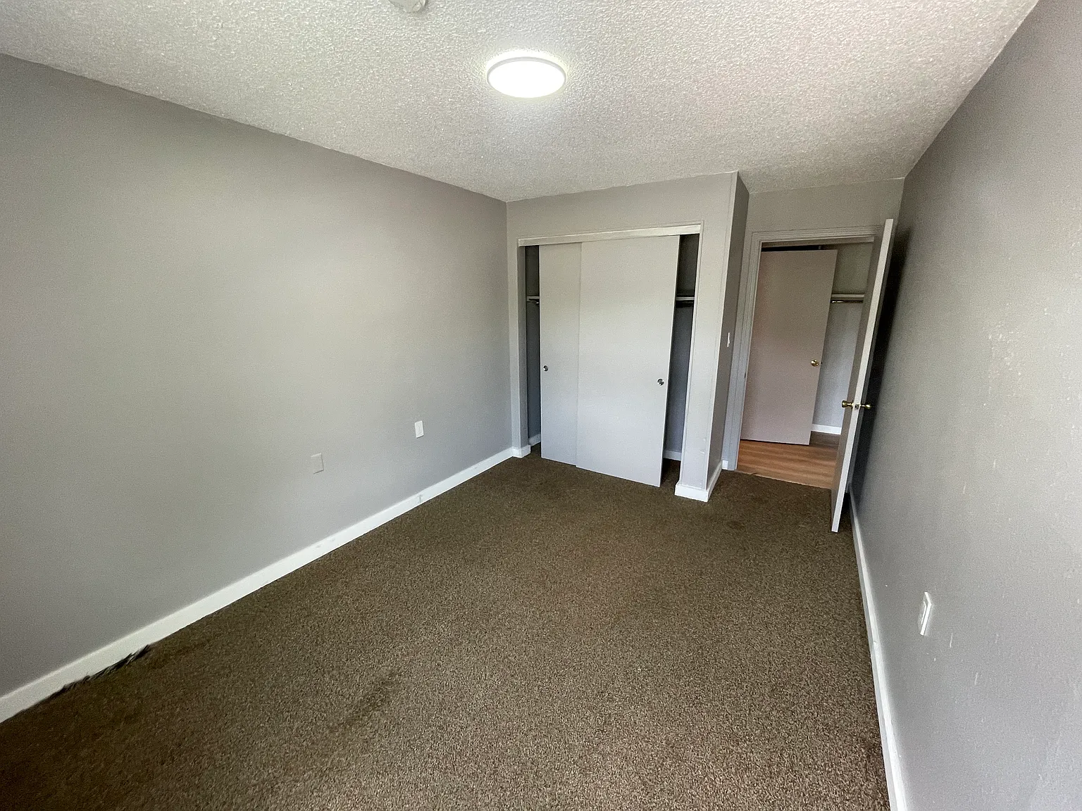 1 bed, $600 — Photo 4