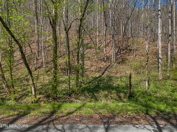 3rd image of Greever Hollow Rd
