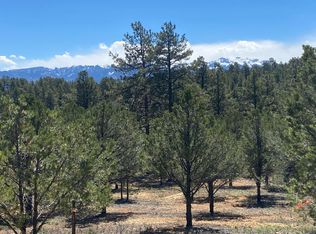 Antler Pl LOT 251, Ridgway, CO 81432