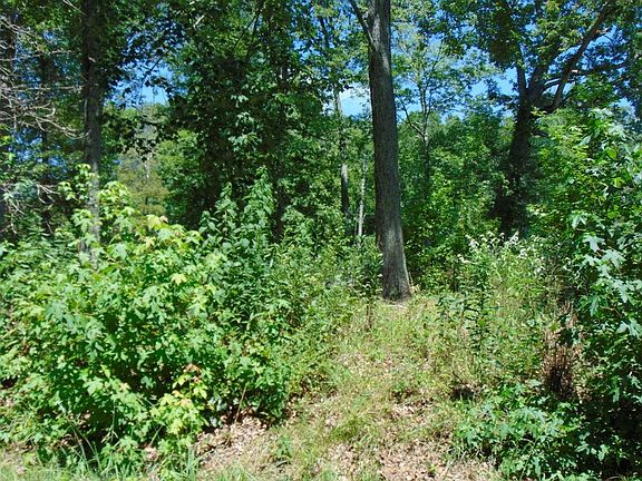 4th image of 113 Loch Haven Dr