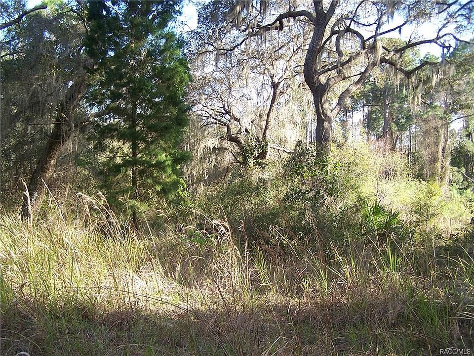 1st image of 4620 E Treeline Dr