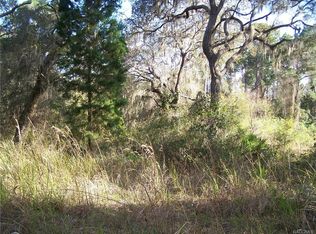 4620 E Treeline Dr, Hernando, FL 34442