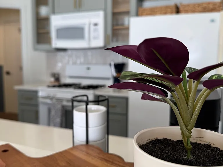 2403 Antelope Ln — Photo 13