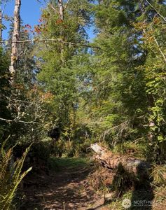 0 Cascade Lane, Eatonville, WA, 98328