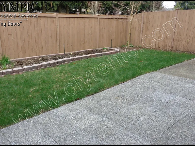 Patio & Yard