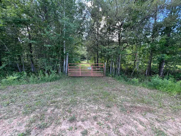3201 Franklin Rd, Alger, MI 48610
