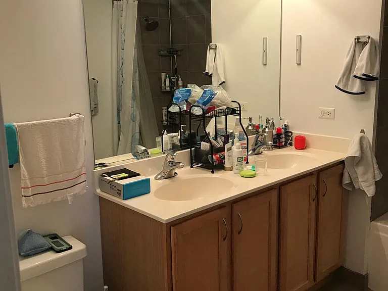 1717 S Prairie Ave #907 — Photo 21