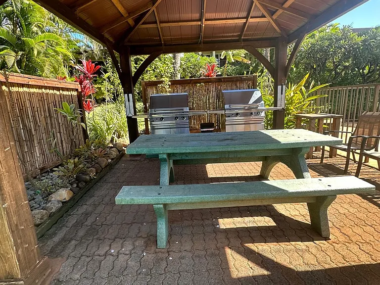 3788 Honoapiilani Hwy — Photo 13