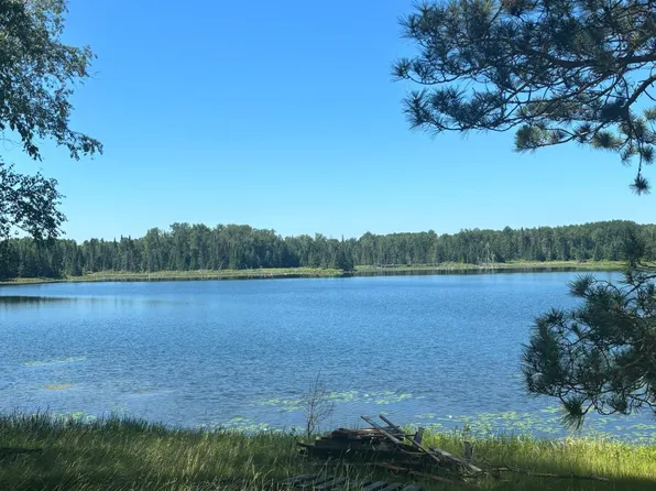 37363 Amen Lake Rd, Deer River, MN 56636