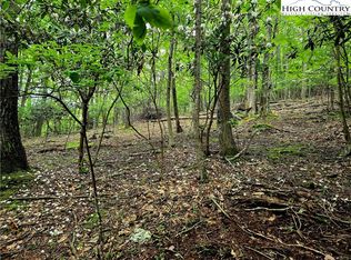 TBD Red Fox Ridge, Boone, NC 28607