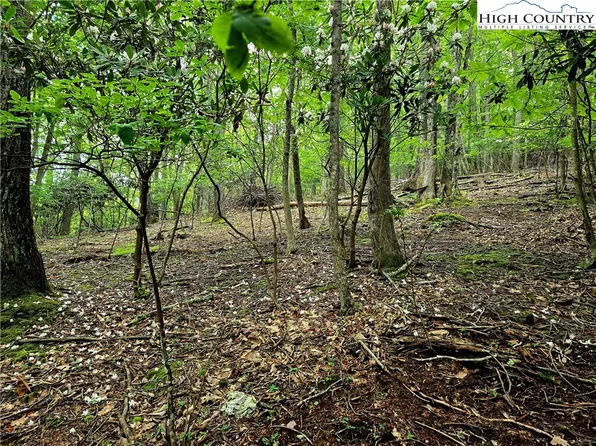 TBD Red Fox Ridge, Boone, NC 28607