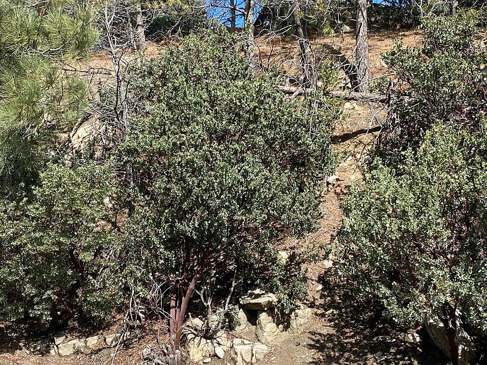 2nd image of 00 Evergreen Ln