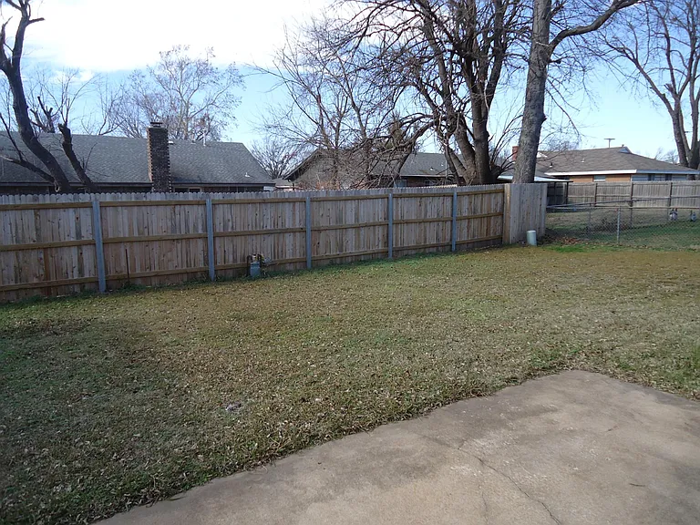 back yard and fence