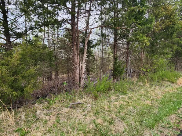 0 Webster Rd, Glade Hill, VA 24092