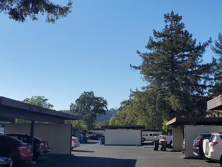 1712 Las Raposas Ct — Photo 17