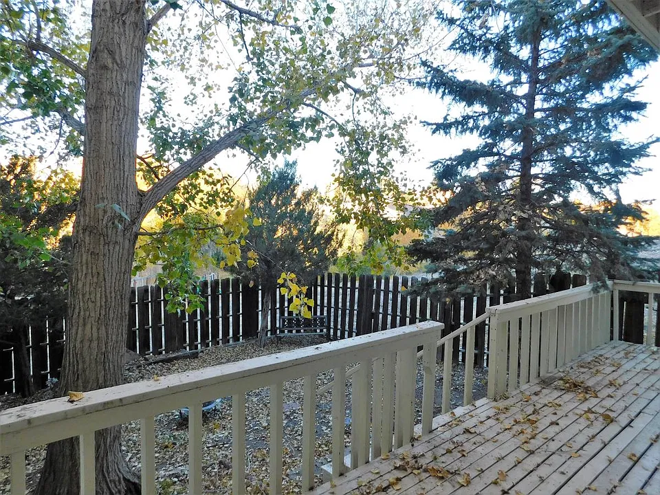 View from your backyard
