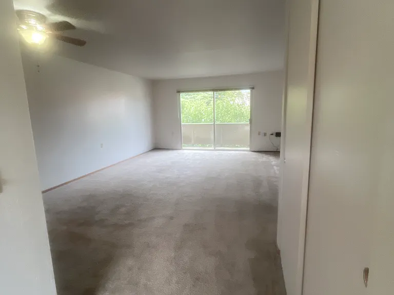 748 Oakland Avenue Apartments — Photo 41