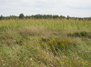 W Scott Rd, Spruce, MI 48762