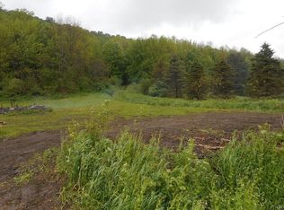 967 Toggenburg Rd, Fabius, NY 13063