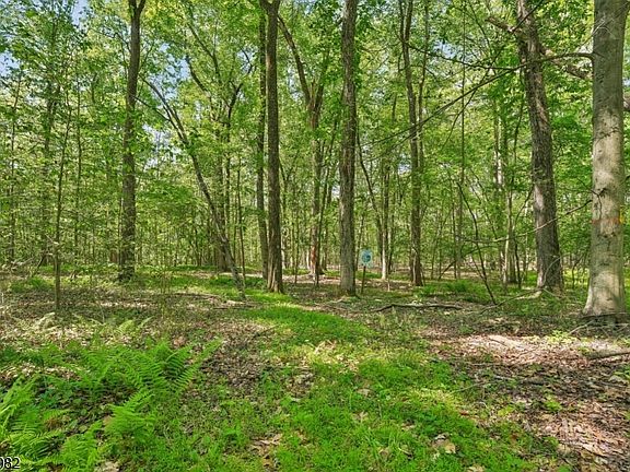 4th image of 0 Homestead Rd
